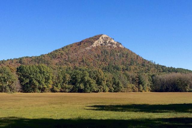 Pinnacle Mountain State Park